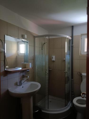 a bathroom with a shower and a sink and a toilet at Pensiunea Tiuta in Corbeni