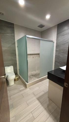 a bathroom with a toilet and a sink and a counter at HOTEL TRAMONTO MAZATLAN in Mazatlán