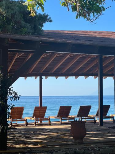 Φυσικό τοπίο κοντά σε αυτό το ξενοδοχείο