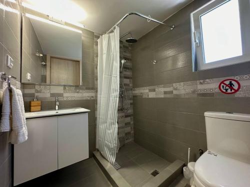 a bathroom with a shower and a toilet and a sink at Ledjon apartament in Artemida