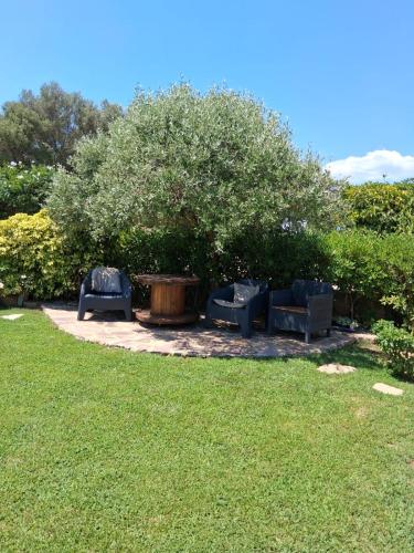 a group of chairs sitting under a tree at Casa Marta in Enas
