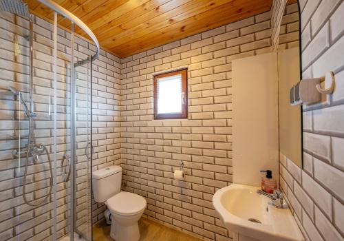 a bathroom with a toilet and a sink and a shower at ZŁOTY OGRÓD in Darłowo