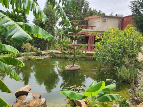 Ain Damous Farmhouse