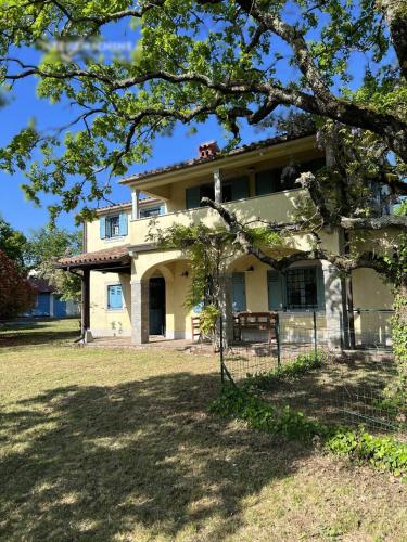 an old house with a tree in front of it at Karsolina in Štanjel