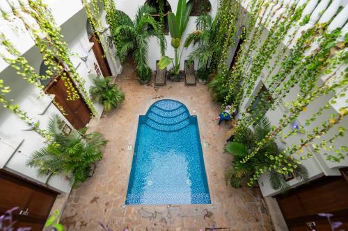 an overhead view of a pool in a building with plants at Masaya Santa Marta in Santa Marta