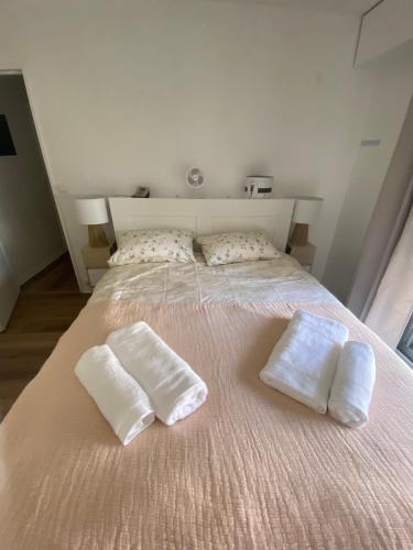 Magnifique appartement dans quartier très prisé beaugrenelle