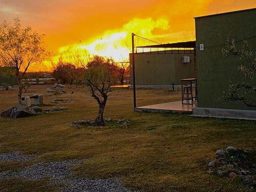 a tree in a field with a sunset in the background at Complejo Turístico Chachingo in Maipú