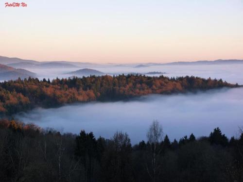 Paesaggio naturale nelle vicinanze dell'appartamento