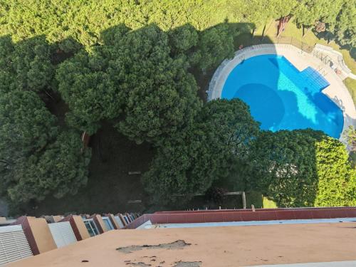an overhead view of a swimming pool with trees at Calypso Holidays in Sitio de Calahonda