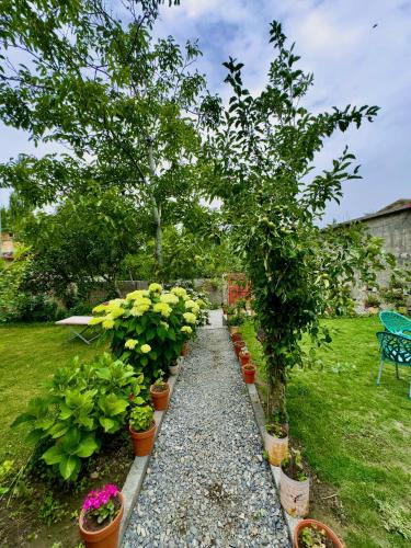 einen Garten mit Topfpflanzen und einem Gehweg in der Unterkunft Creek Villa Skardu in Skardu