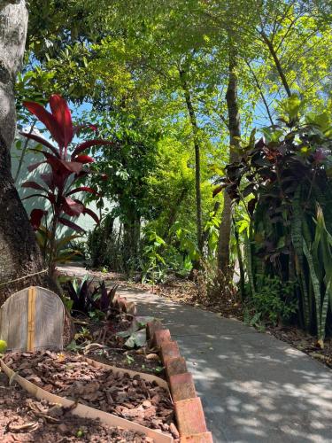 a path in a park with trees and plants at Espia Mata - Pousada Hostel in Ponta Grossa
