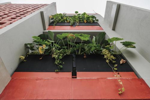 a balcony with four plants on a building at Kuuna Luxury Stays by Wynwood House in Medellín