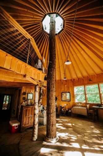 a room with a ceiling with a tree in it at Escape to Tree House Island Life in Monmouth