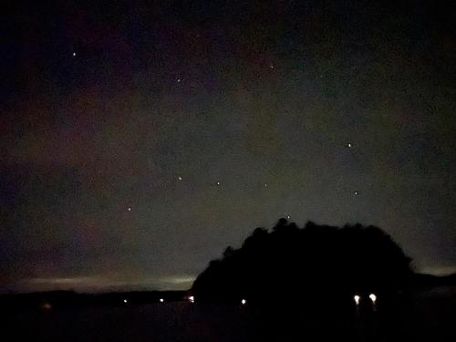 a night sky with stars and a tree in the foreground at Escape to Tree House Island Life in Monmouth