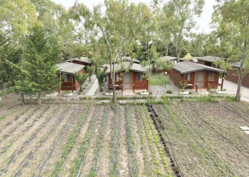 a house with a field in front of it at Laguna Park in Divjakë