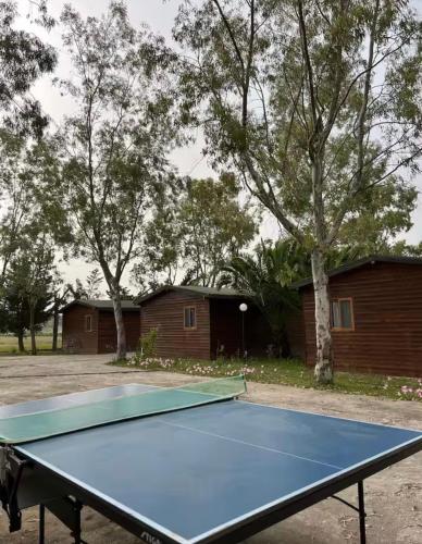 a blue ping pong table in front of a house at Laguna Park in Divjakë
