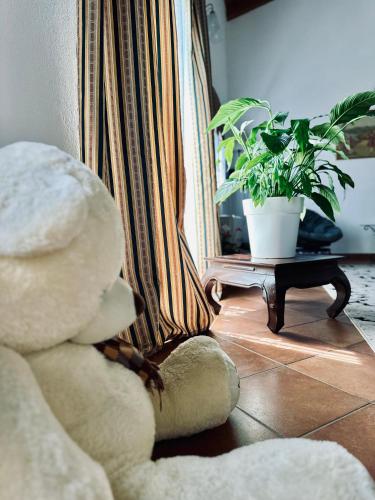 Posezení v ubytování Agriturismo Sabidor