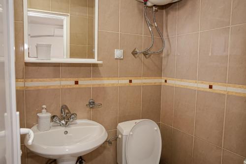 a bathroom with a toilet and a sink and a mirror at Apartments Ilija in Ohrid