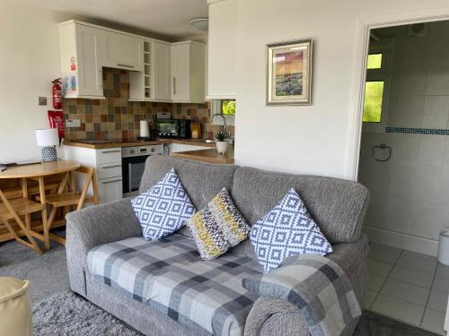a living room with a couch and a kitchen at Chalet 8 The Woodlands in Tywyn