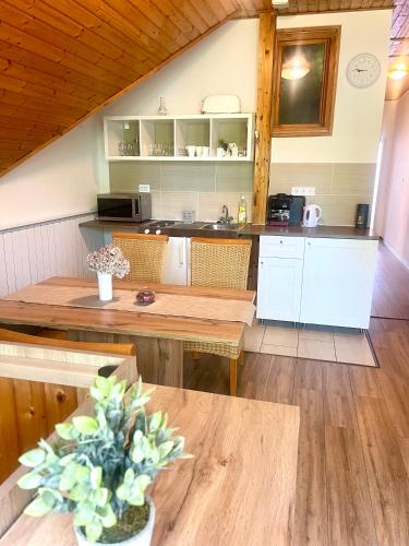 Dapur atau dapur kecil di Balatonföldvar Centrum Apartmanok 2