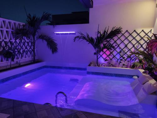 Luxury Paradise Beach Lagoon