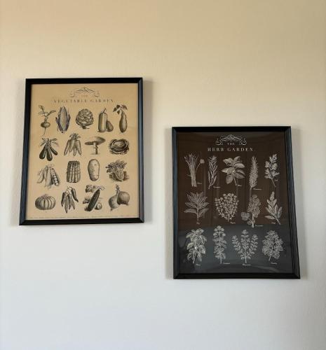 two framed pictures of plants on a wall at Basilico Apartment with stunnung views in Scogna Superiore