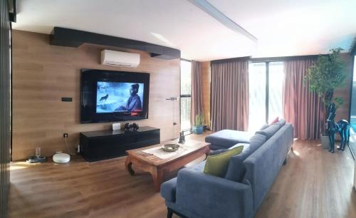 un salon avec un canapé et une télévision dans l'établissement Black Box village with garden, à Seferihisar