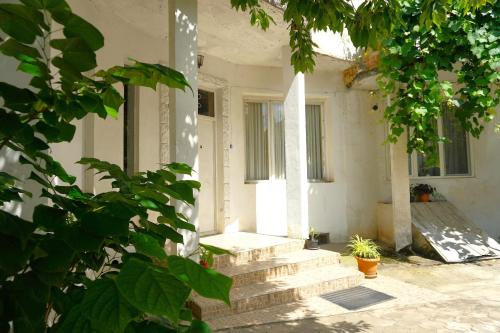 a porch of a white house with stairs and plants at Pospolita Guest House in Kutaisi