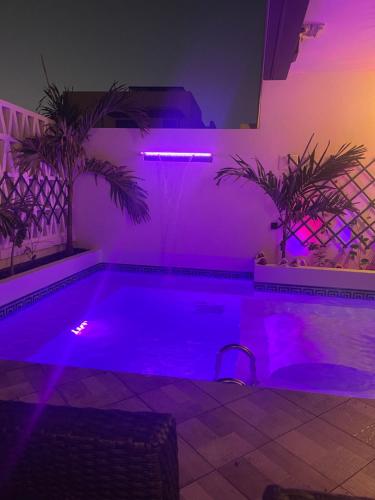 Gallery image of Luxury Paradise Beach Lagoon in Sal Rei