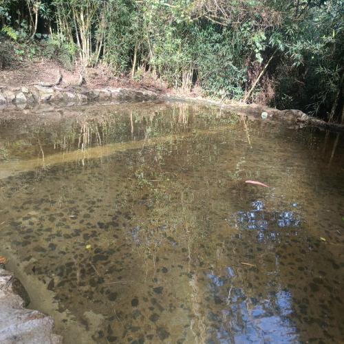 a body of water with some rocks and trees at Cabaña en el Lago in Guarne