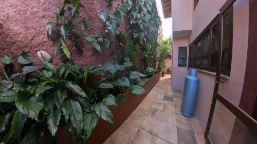 a hallway with plants on the side of a building at Casa Centro de Guararema - Casa Bela Vista in Guararema