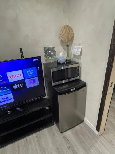 Televisyen dan/atau pusat hiburan di Le Refuge Tropical - Appartement au bord de l'eau