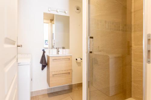 une salle de bain avec douche et lavabo dans l'établissement Mirabeau Sous Les Toits - Tours, à Tours