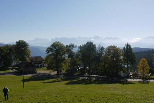 a cow grazing in a field with mountains in the background at Hotel Wieslhof in Collepietra