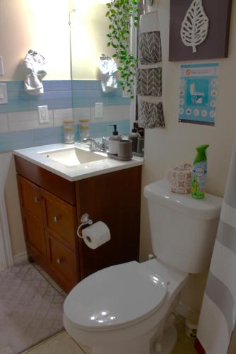 a bathroom with a white toilet and a sink at Entire suite Queen BRM Big Window Prvt Entry Patio in Edmonton