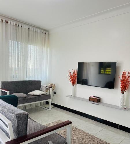 a living room with a couch and a tv on a wall at Lake view 2bedrooms 3 balconies WIFI Netflix 2bathroom 5mnts walk to the lake in Nalakonge