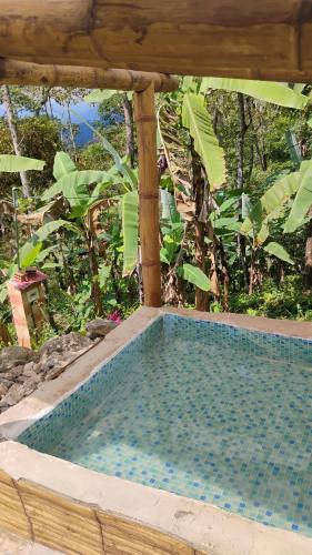a swimming pool in front of a garden with trees at Monte La MaMa Ecolodge in Viotá