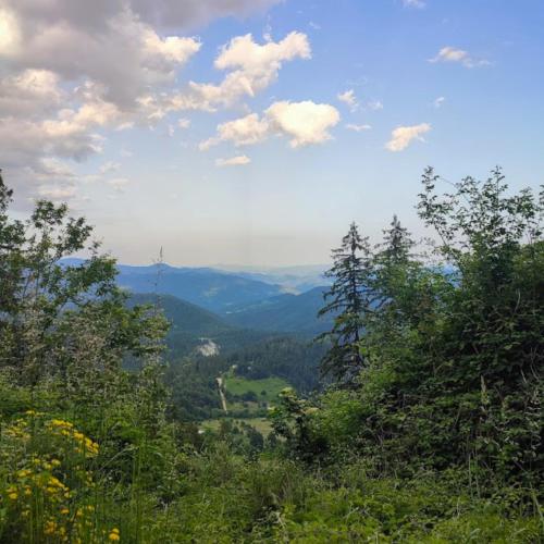 a view of a valley from a hill with trees at Apartament Rodopi in Smolyan