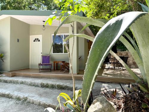Zahrada ubytování Casa Kaan Calakmul