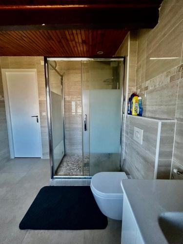 a bathroom with a shower and a toilet and a sink at Villa à 30 min des parcs Asterix et Disneyland in Chelles