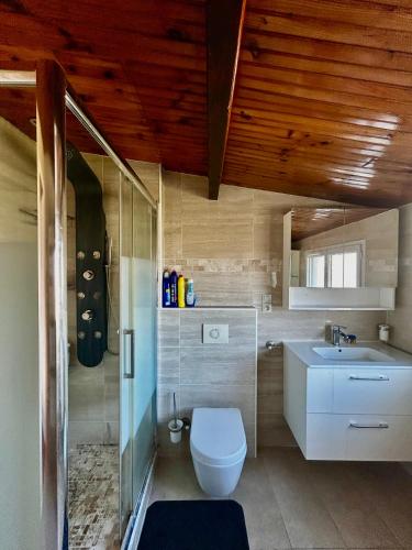 a bathroom with a toilet and a sink at Villa à 30 min des parcs Asterix et Disneyland in Chelles