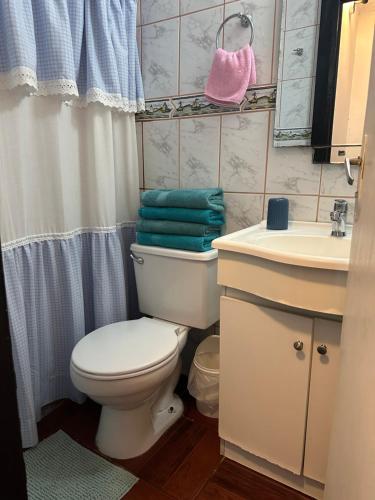 a bathroom with a white toilet and a sink at Casa Hostal Nora, Rauquén Curicó in Curicó