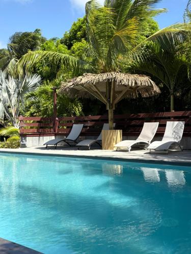 a swimming pool with two chairs and a palm tree at Le Paradis de la Guadeloupe in Pointe-Noire