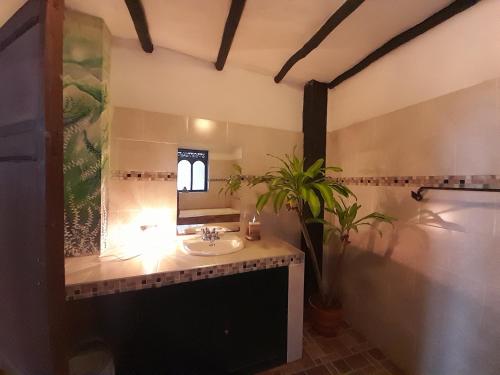 Kuchyň nebo kuchyňský kout v ubytování Hotel Pueblo Dorado Sesquilé