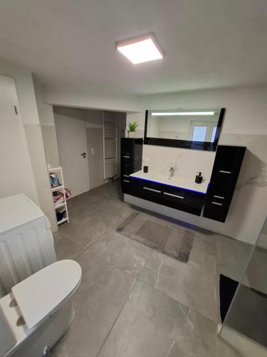 a bathroom with a toilet and a large mirror at GR ooms-Rent in Gemmrigheim