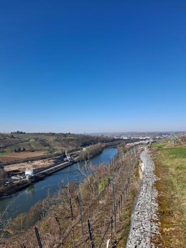 a view of a river from the top of a hill at GR ooms-Rent in Gemmrigheim