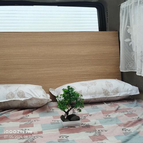 a plant sitting on top of a bed with two pillows at Anaswaram holidays in Vagamon