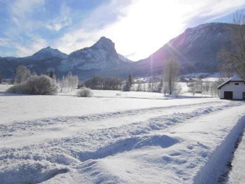 a snow covered field with mountains in the background at Gasthof Wiesenhof in Strobl