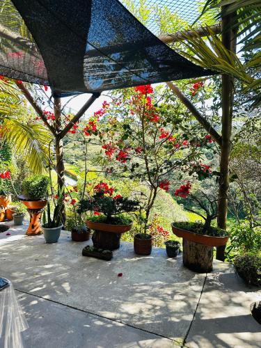 Jardín al aire libre en Ecohotel campestre Rionegro-A 20 minutos del aeropuerto