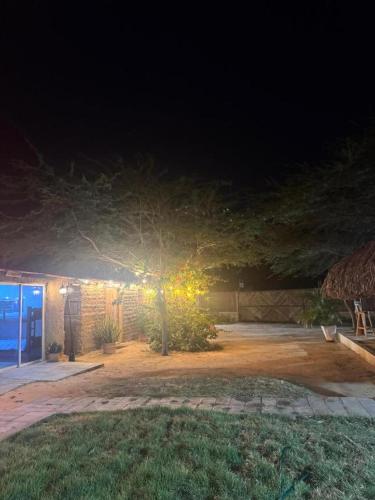 a house with a tree in a yard at night at Villa Anaschansu in Ríohacha